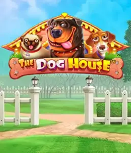 Pragmatic Play's The Dog House adventure, featuring an adorable journey into the world of playful pups. Engage in gameplay elements including free spins, aimed at providing entertaining gameplay. A must-try for animal enthusiasts an amusing theme alongside lucrative rewards.